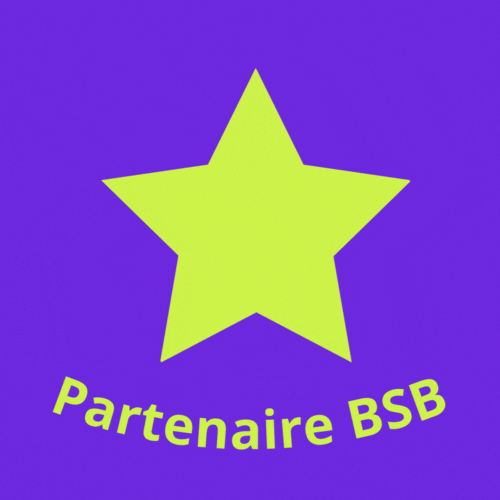 Partenaire BSB gif.gif